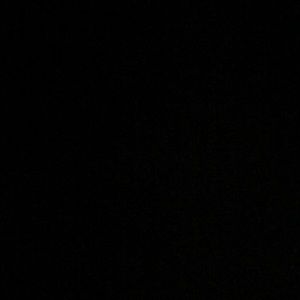 Meet your Posher, Ernesto